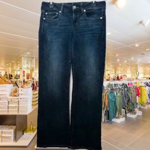 Denim Jeans from American Eagle Outfitters-favorite boyfriend